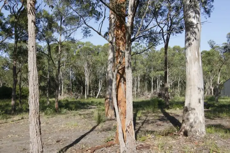 Fifth view of Homely land listing, 2/11 Kirrang Drive, Medowie NSW 2318
