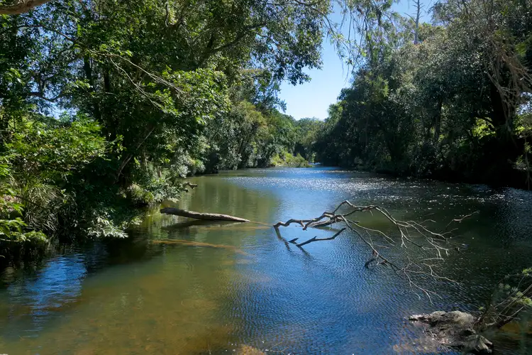 Fifth view of Homely rural property listing, 670 Fosterton Road, Dungog NSW 2420