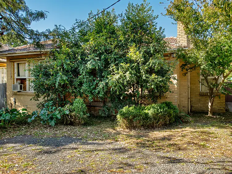 Main view of Homely house listing, 238 Middleborough Road (Opposite Clarice Rd), Blackburn South VIC 3130