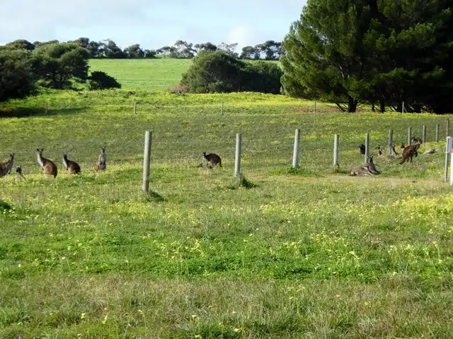 Main view of Homely land listing, LOT 142/2 Resolute Avenue, Normanville SA 5204