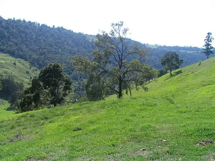 Seventh view of Homely land listing, 104 Illinbah Road, Illinbah QLD 4275