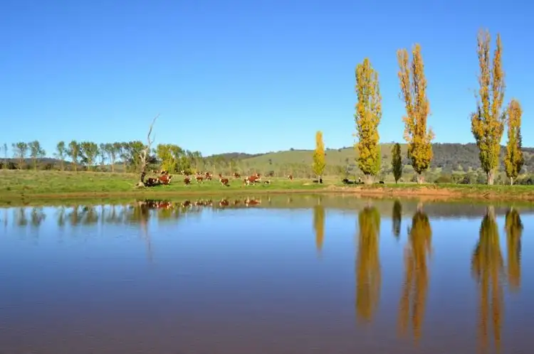 Seventh view of Homely rural property listing, 245 Wairere Road, Boorolite VIC 3723