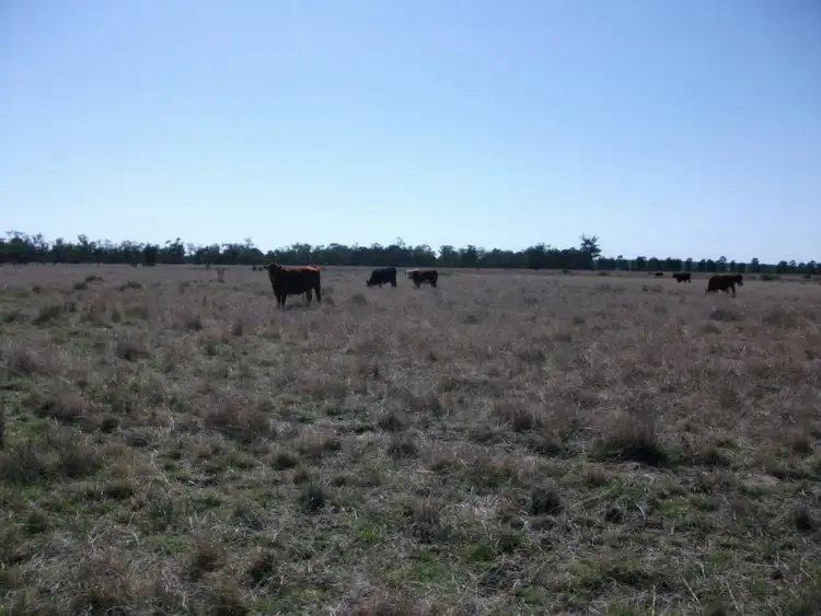 Main view of Homely rural property listing, 226 Wambianna Rd, Wyaga QLD 4390