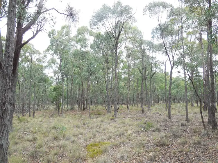 Fourth view of Homely land listing, 561 Mount Baw Baw Road, Goulburn NSW 2580