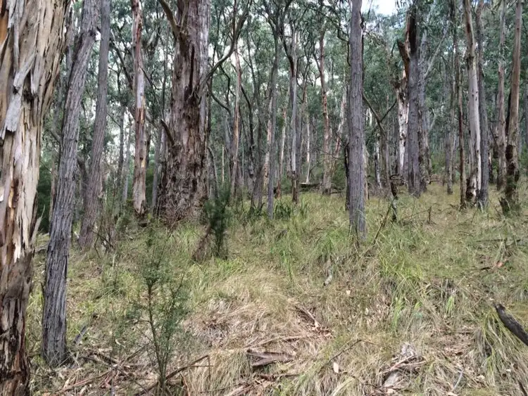Third view of Homely land listing, 750 Don Road, Healesville VIC 3777