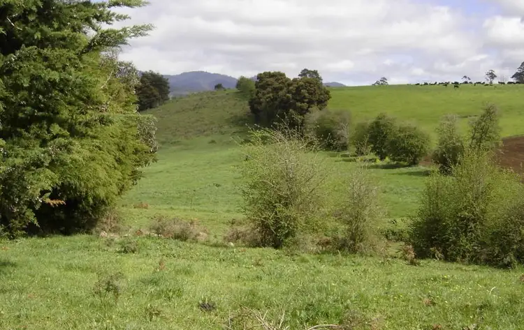 Fifth view of Homely rural property listing, *East Maurice Road, Ringarooma TAS 7263