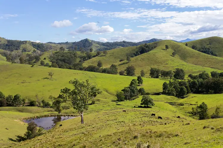 Main view of Homely rural property listing, 1943 Salisbury Road, Dungog NSW 2420