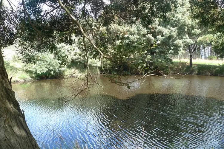 Second view of Homely house listing, 194 Pennells Road, Scottsdale TAS 7260