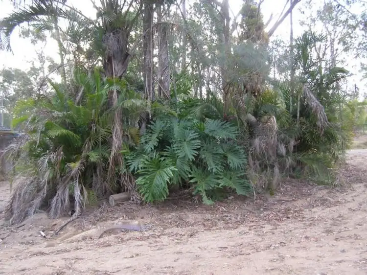 Second view of Homely house listing, 260 Scott Lane, North Maclean QLD 4280