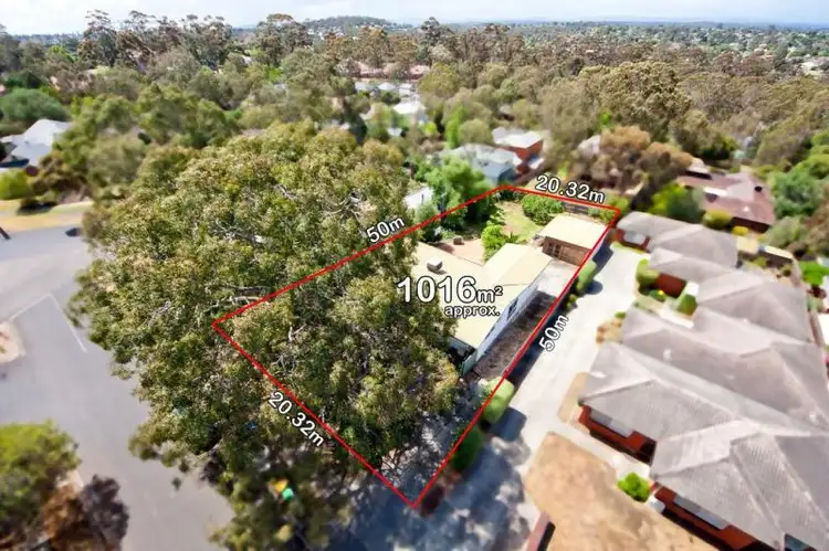 38 Dwyer Street, Macleod VIC 3085