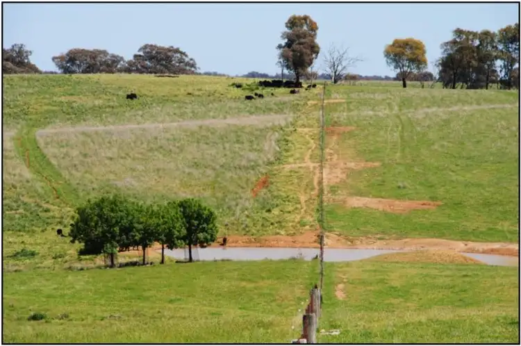 Sixth view of Homely land listing, 331 Rutherford Road, Molong NSW 2866