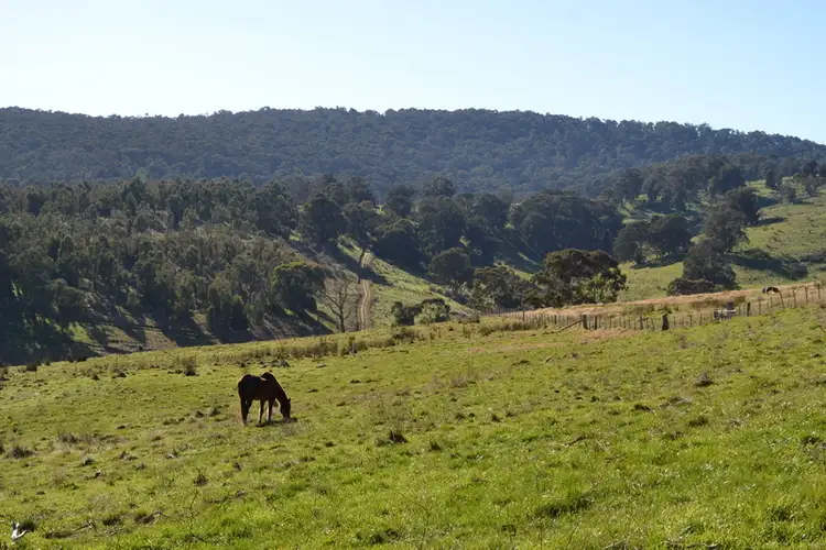 Seventh view of Homely rural property listing, LOT 47B, 150 Gonzaga Lane, Merrijig VIC 3723