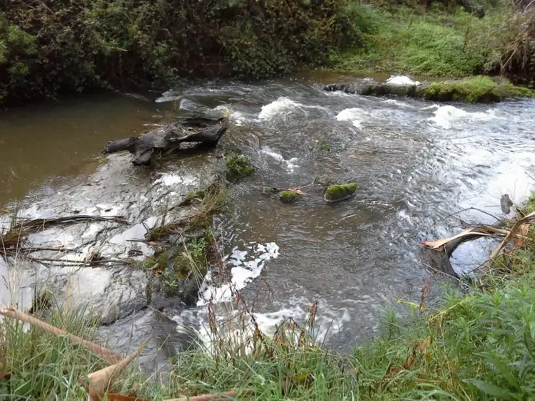 Third view of Homely rural property listing, 416 Devils Pinch Road, Toora VIC 3962