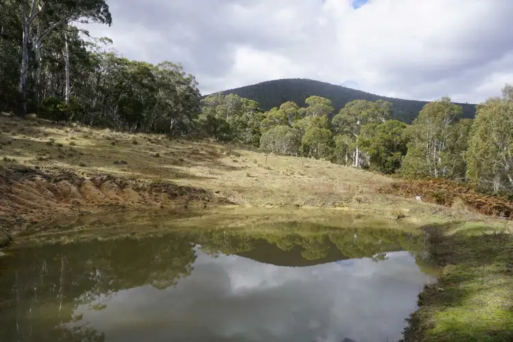 Fifth view of Homely land listing, 373 Foggy Forest Drive, Anembo NSW 2621