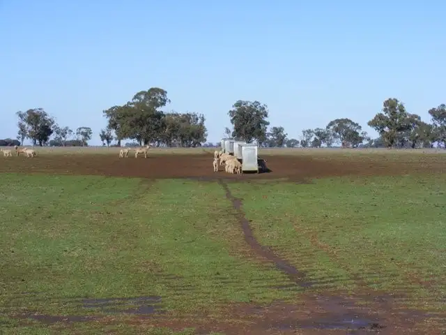 Fifth view of Homely rural property listing, 1376a Centre Road, Moama NSW 2731