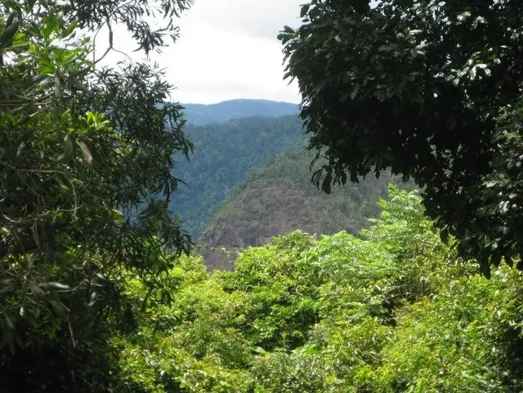 Seventh view of Homely land listing, LOT 17 LAMINGTON NATIONAL PARK ROAD, Cainbable QLD 4285