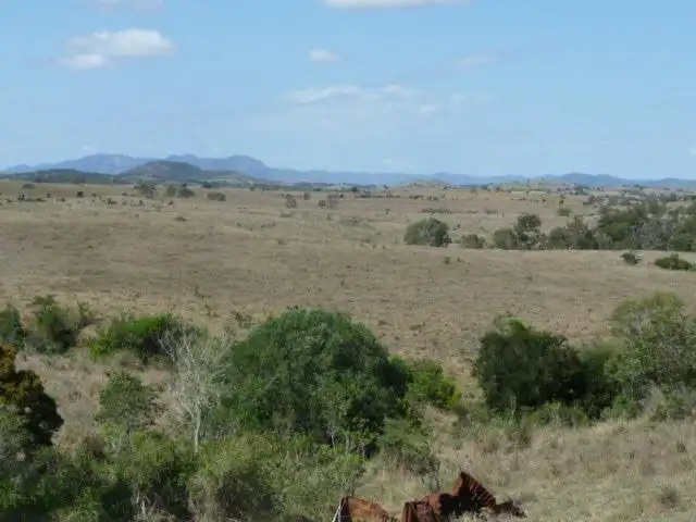 Third view of Homely rural property listing, 219 NORTH DALLARNIL ROAD, Dallarnil QLD 4621