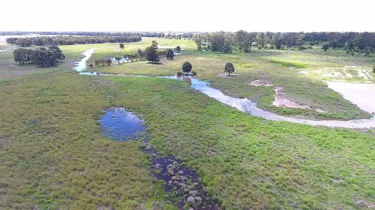 Sixth view of Homely rural property listing, 794 Broadwater Rd, Dalby QLD 4405