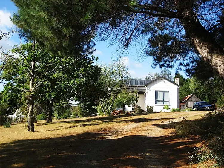 Main view of Homely house listing, 58 Gray Road, St Marys TAS 7215