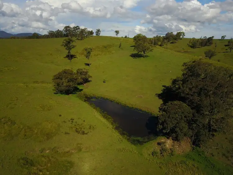 Sixth view of Homely rural property listing, 164 Germons Road, Flat Tops Via, Dungog NSW 2420