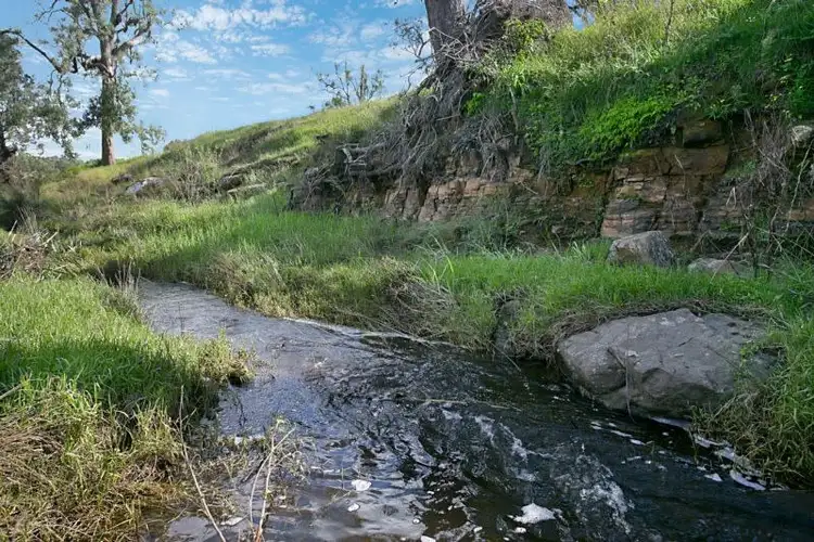 Seventh view of Homely rural property listing, 339 Torryburn Road, TORRYBURN VIA, Paterson NSW 2421