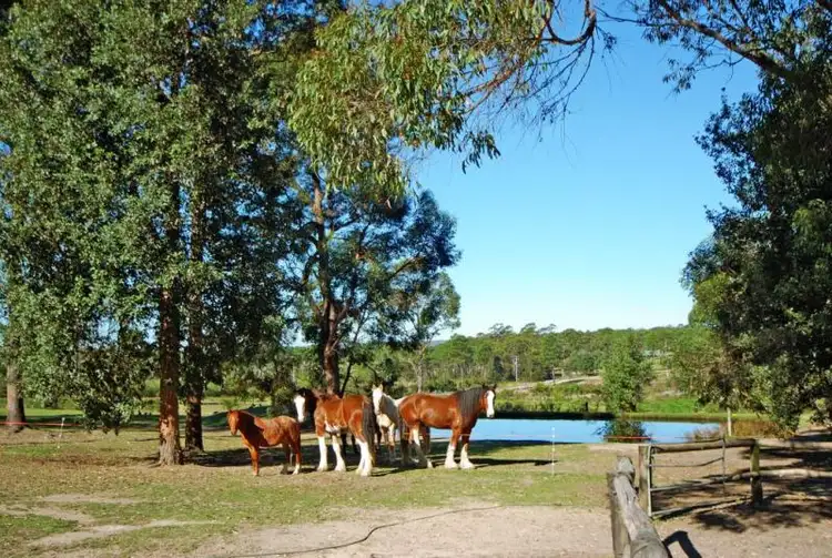 Third view of Homely rural property listing, 316b Pine Forest Road, Tomerong NSW 2540