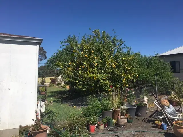 Fifth view of Homely house listing, 42 Hassell Street, Mount Barker WA 6324