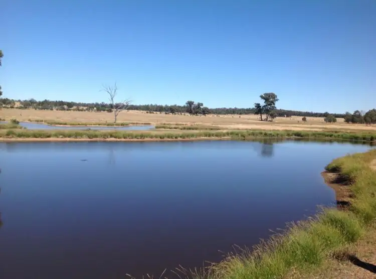 Fourth view of Homely rural property listing, 2511 OLD COOTAMUNDRA ROAD, Temora NSW 2666