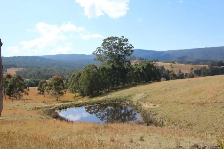 Sixth view of Homely rural property listing, 1524 Chichester Dam Road, Dungog NSW 2420