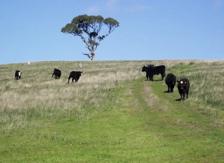 Second view of Homely land listing, LOT Lot 51 Bullaparinga Cres, Delamere SA 5204