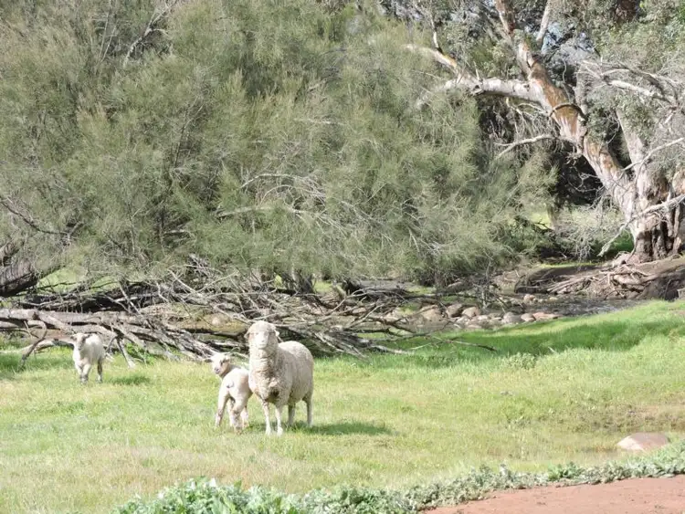Third view of Homely land listing, 606 TELEGRAPH ROAD, Toodyay WA 6566