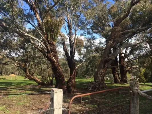 Main view of Homely land listing, Part 36 Franklin Street, Guildford VIC 3451