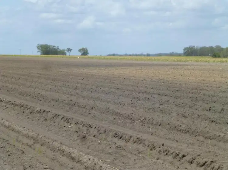 Fifth view of Homely rural property listing, 2 MCDONALDS ROAD, Farnsfield QLD 4660