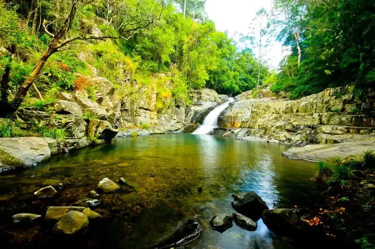 Fourth view of Homely house listing, 974 Cedar Creek Road, Cedar Creek QLD 4520