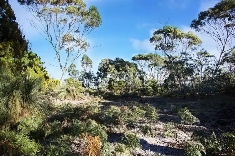 Fifth view of Homely land listing, 155 Marana Drive, Bakers Beach TAS 7307