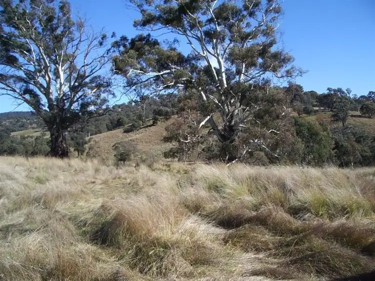 Third view of Homely rural property listing, 1089 Brookville Road, Swifts Creek VIC 3896