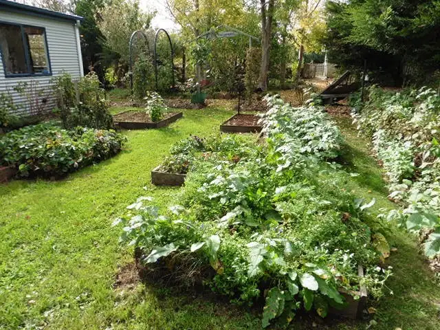 Seventh view of Homely rural property listing, 20 Ruby Flats Road, Ringarooma TAS 7263