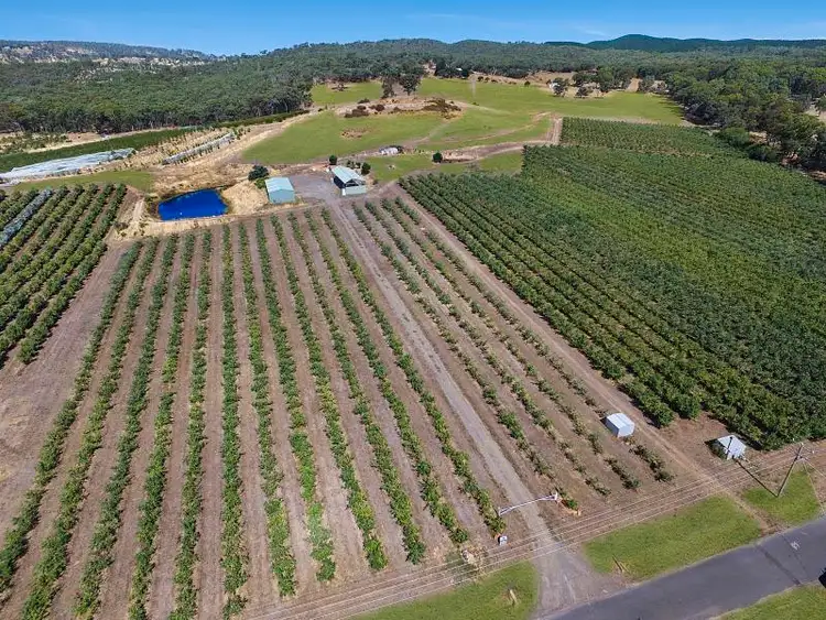 Seventh view of Homely rural property listing, 57 Peelers Road, Harcourt VIC 3453