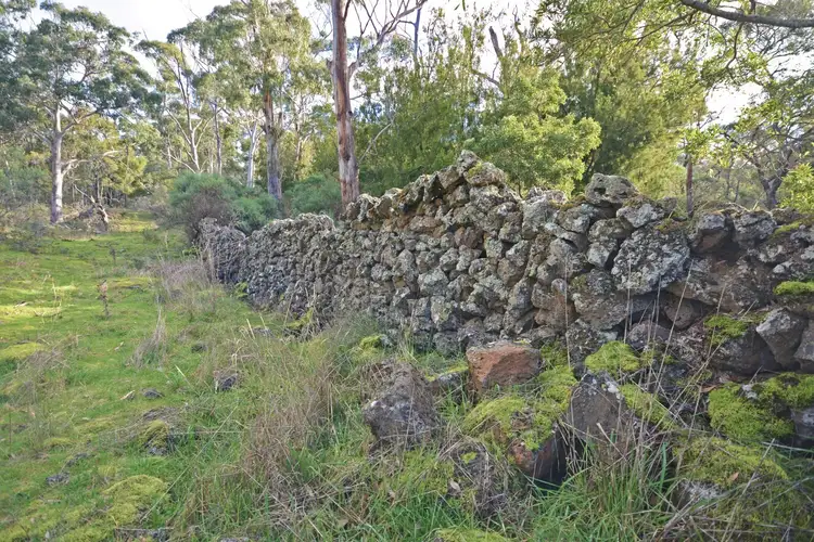 Second view of Homely rural property listing, Lot 14A McInnes Road, Macarthur VIC 3286