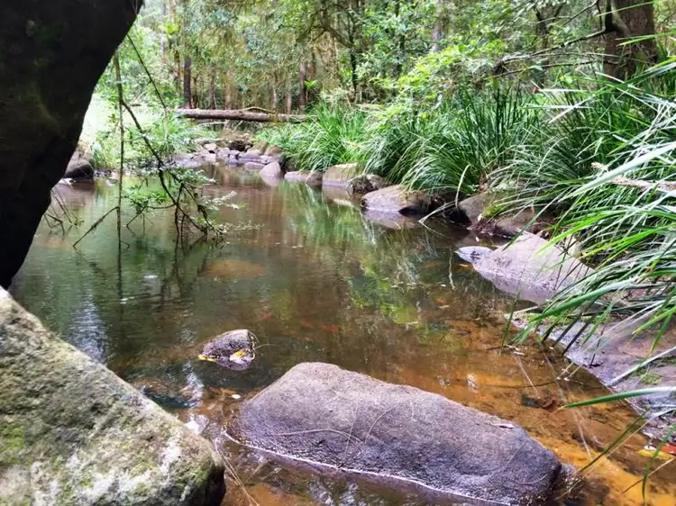 Fourth view of Homely rural property listing, 1157 Stony Chute Road (Share 21 Avalon), Nimbin NSW 2480