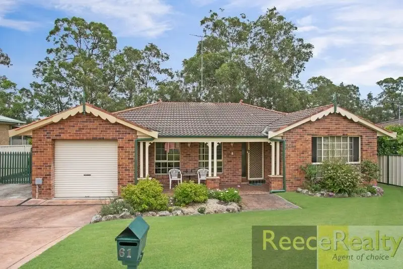Main view of Homely house listing, 61 Melaleuca Drive, Metford NSW 2323