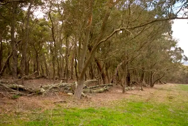 Fourth view of Homely land listing, LOT 69/68 Braidwood Drive, Mount Barker WA 6324