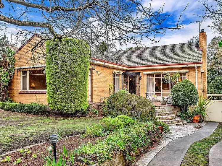 Main view of Homely house listing, 10 Linden Street, Box Hill South VIC 3128
