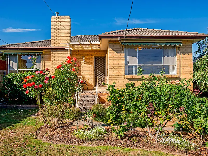 Main view of Homely house listing, 16 Kathleen Street, Blackburn North VIC 3130