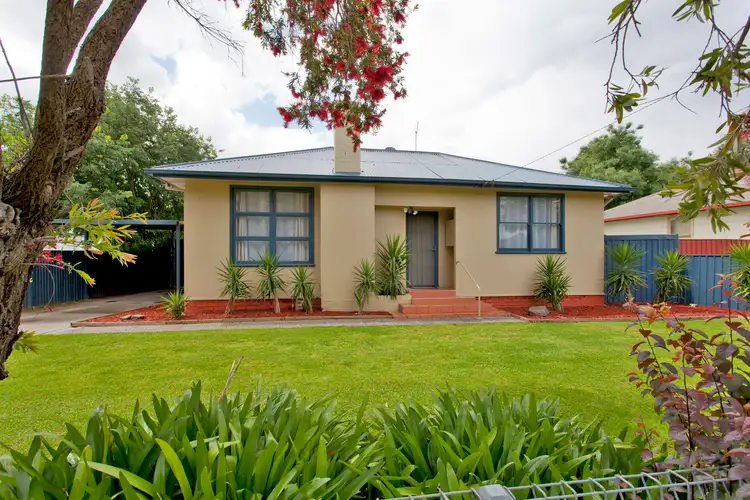 316 Fallon Street, North Albury NSW 2640