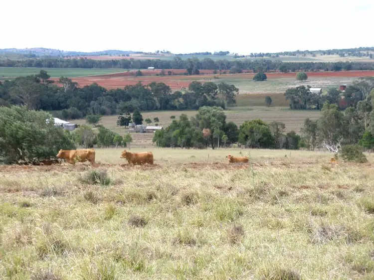 Main view of Homely house listing, 161 Wellers Road, Wooroolin QLD 4608