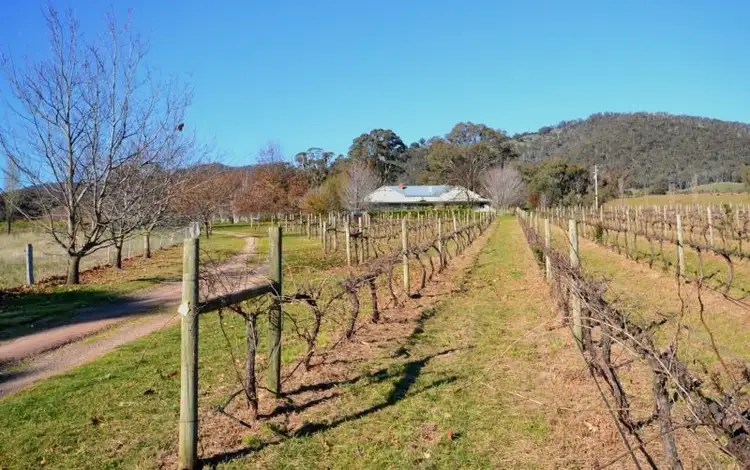 Fourth view of Homely rural property listing, 257 Desmonds Road, Mansfield VIC 3722