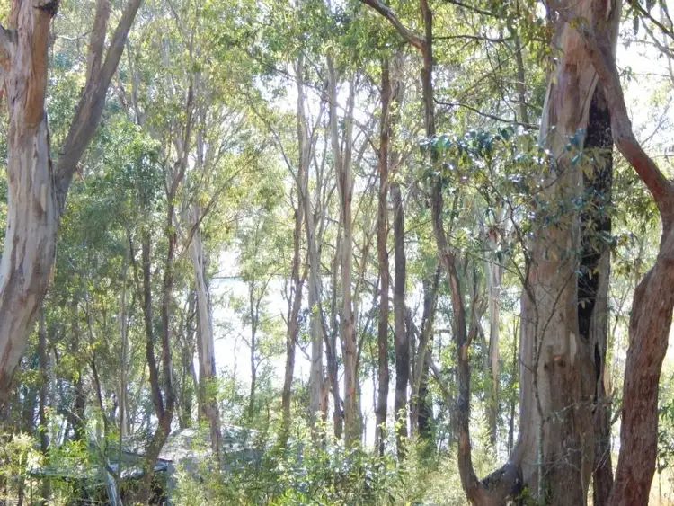 Seventh view of Homely land listing, 94 Grey Street, Clarence Town NSW 2321