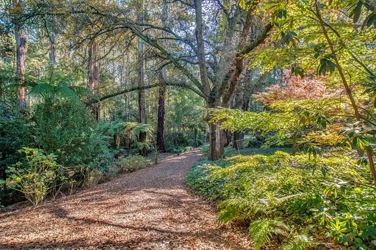 Second view of Homely house listing, 25 Baynes Park Road, Monbulk VIC 3793