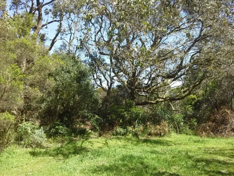 Main view of Homely land listing, 69 Seaview Drive, Walkerville VIC 3956